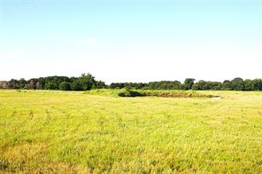 316 Flowing Wells Road - Photo 11