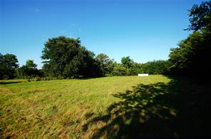 316 Flowing Wells Road - Photo 16