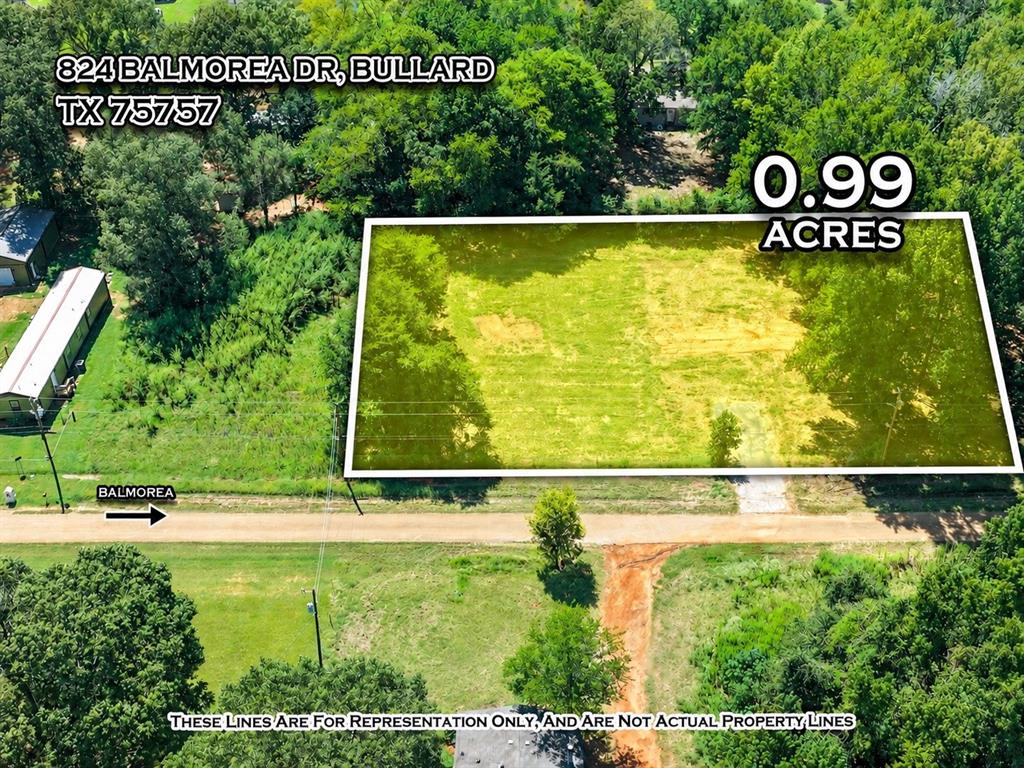 824 Balmorea Drive - Photo 1