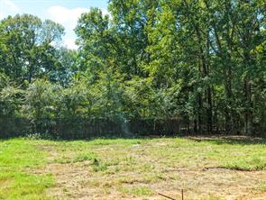 824 Balmorea Drive - Photo 4