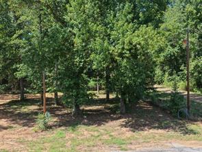 824 Balmorea Drive - Photo 7