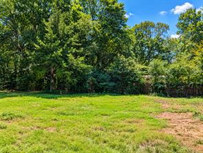 824 Balmorea Drive - Photo 9