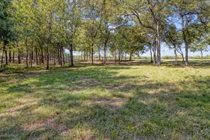 5274 Preston Road - Photo 7
