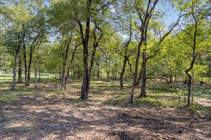 5266 Preston Road - Photo 7