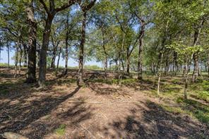 5266 Preston Road - Photo 8