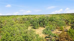 000 Red Oak Hills Road - Photo 10