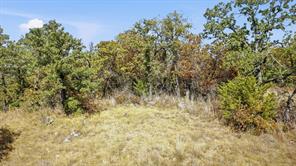 000 Red Oak Hills Road - Photo 8