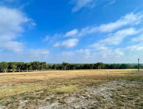 165 Caballo Drive - Photo 3