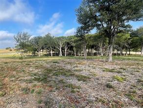 165 Caballo Drive - Photo 4