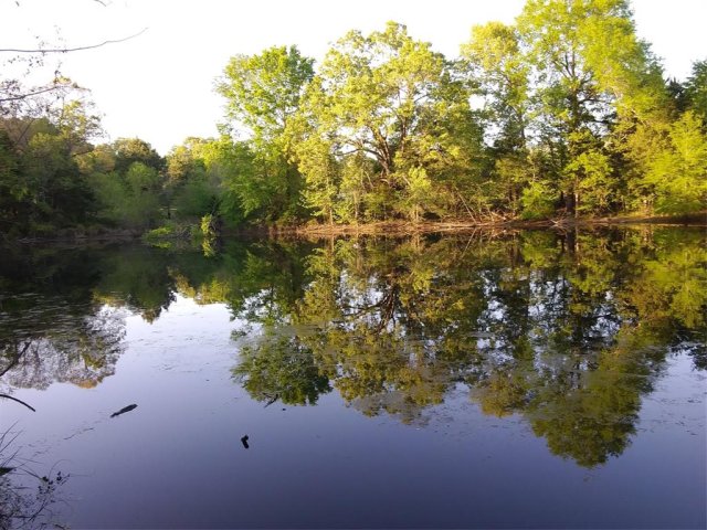 TBD-C County Road 45400