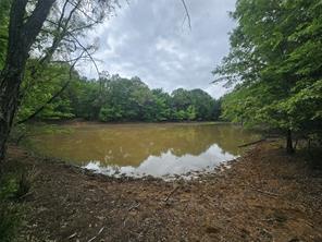 TBD-C County Road 45400 - Photo 3