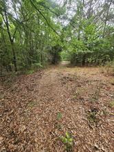 TBD-C County Road 45400 - Photo 4