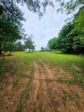 TBD-C County Road 45400 - Photo 5