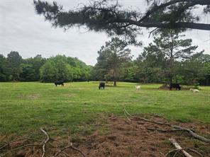 TBD-C County Road 45400 - Photo 6
