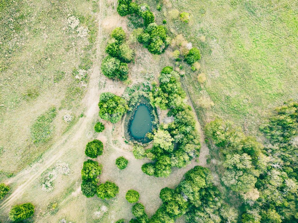 TBD County Road 3804 - Photo 10
