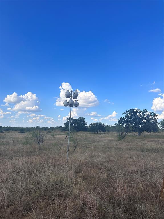 384 County Road 406 - Photo 1