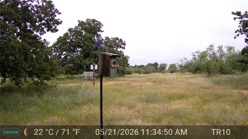 384 County Road 406 - Photo 10
