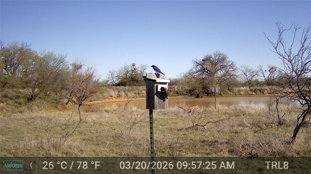 384 County Road 406 - Photo 11