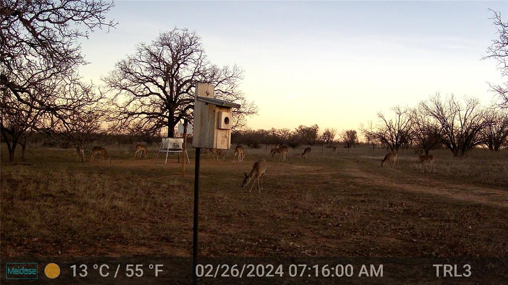 384 County Road 406 - Photo 12