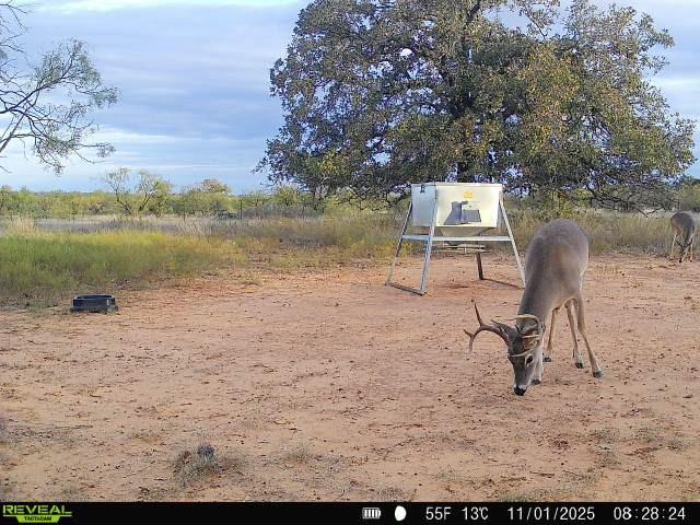 384 County Road 406 - Photo 13