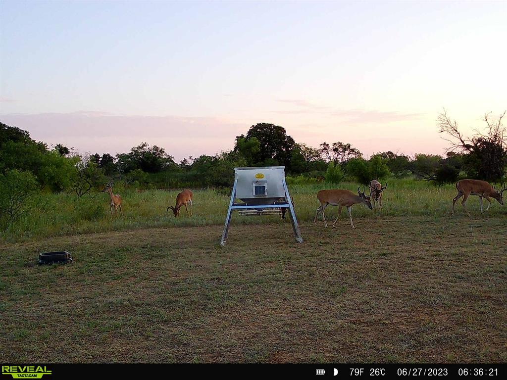 384 County Road 406 - Photo 15