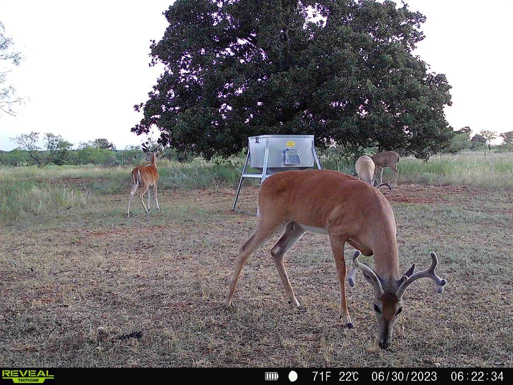 384 County Road 406 - Photo 18