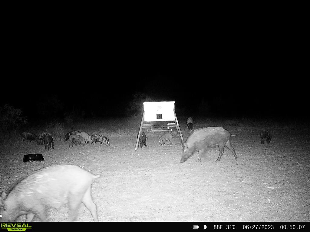 384 County Road 406 - Photo 19