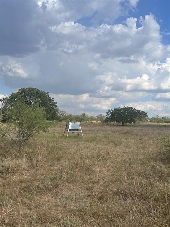 384 County Road 406 - Photo 2