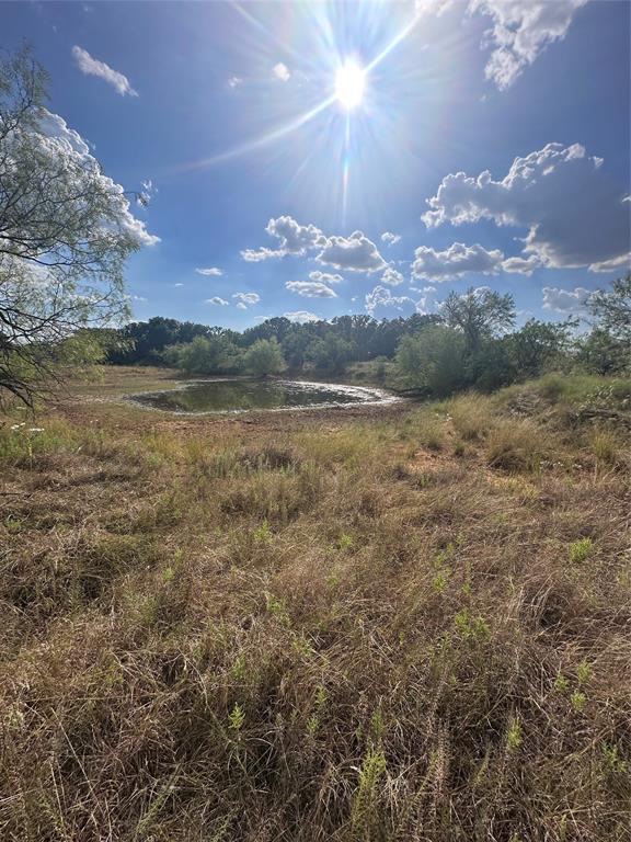 384 County Road 406 - Photo 23