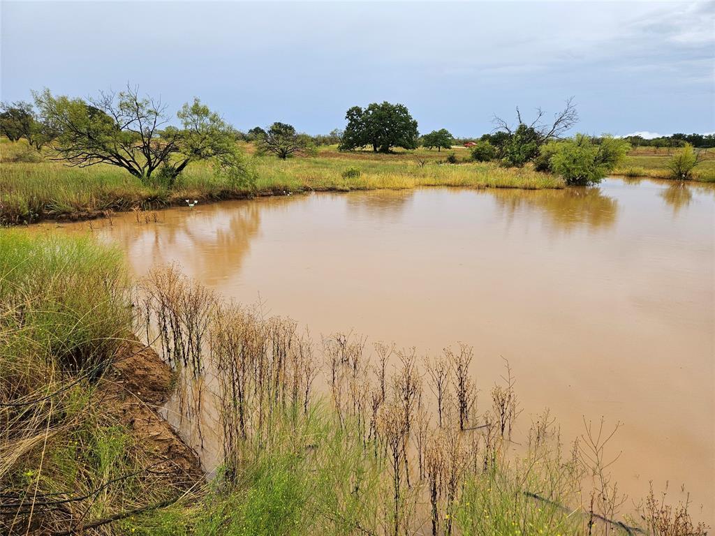384 County Road 406 - Photo 24