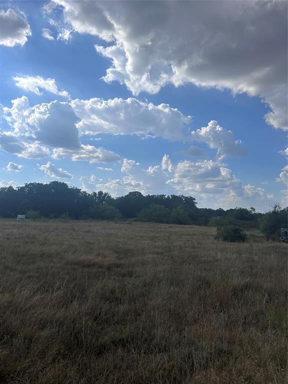 384 County Road 406 - Photo 26