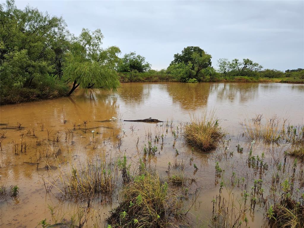 384 County Road 406 - Photo 27