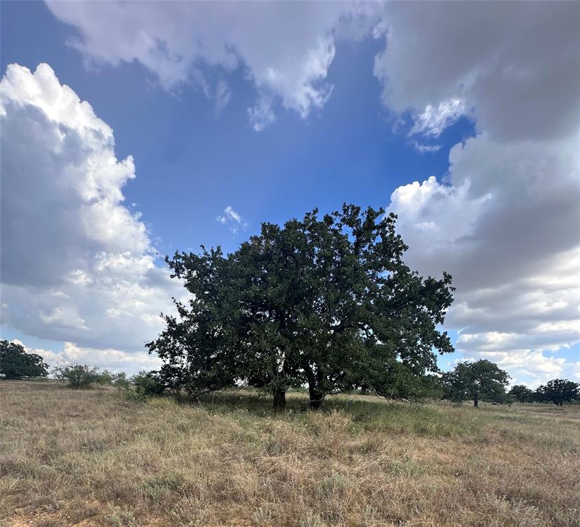 384 County Road 406 - Photo 3
