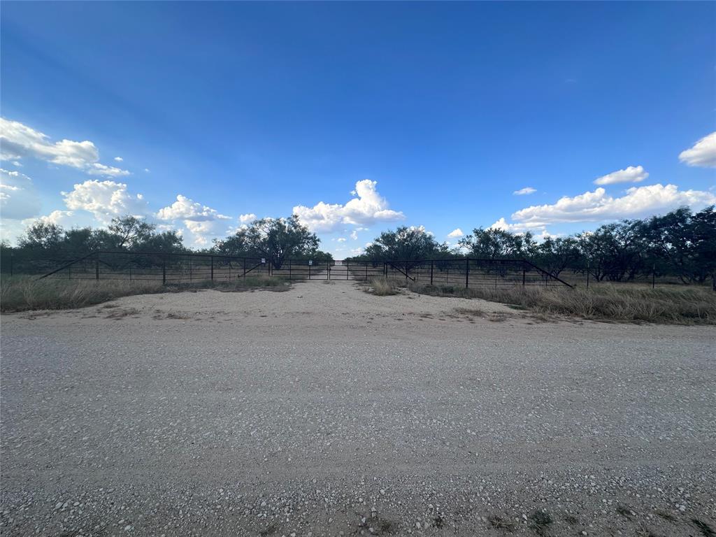 384 County Road 406 - Photo 5