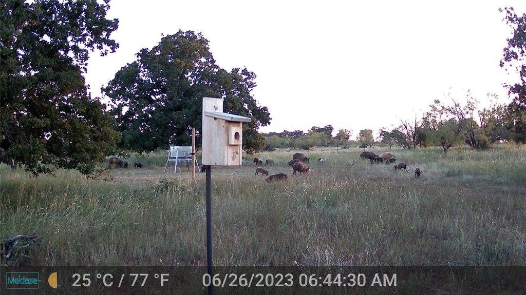 384 County Road 406 - Photo 6