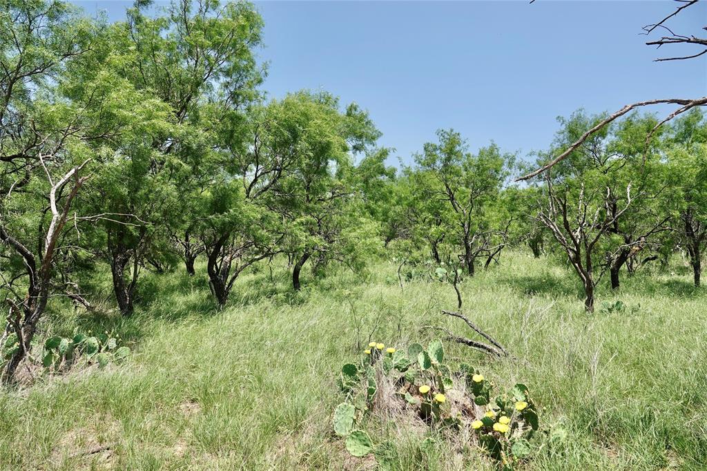 267 County Road 112 - Photo 21