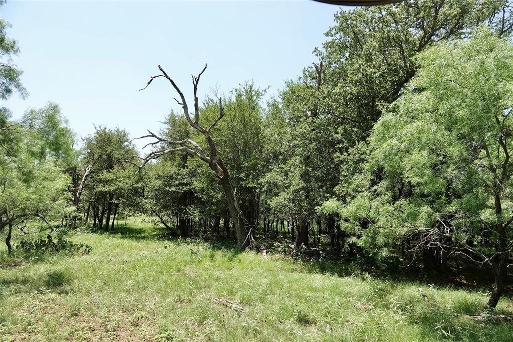267 County Road 112 - Photo 24