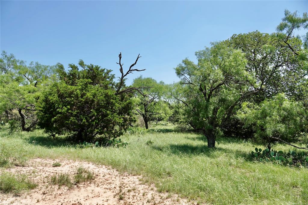 267 County Road 112 - Photo 25