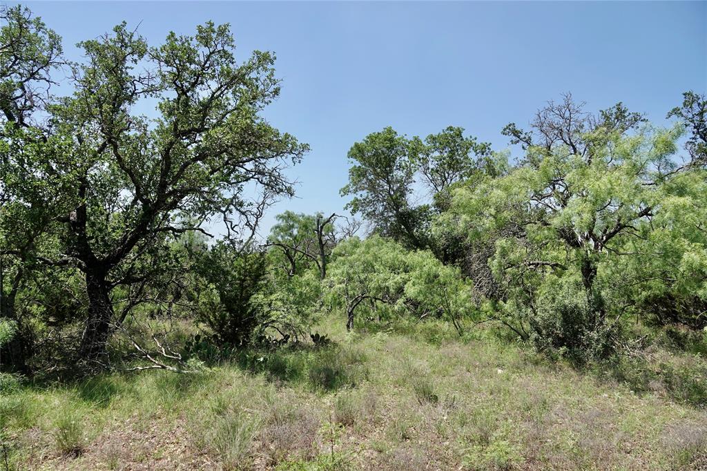 267 County Road 112 - Photo 27