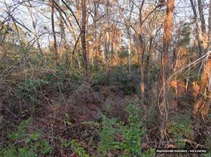 144 Circle Drive - Photo 14