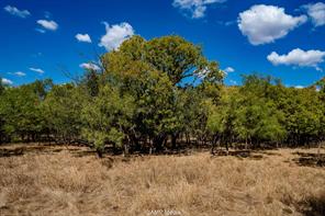 4660 County Road 463 - Photo 11