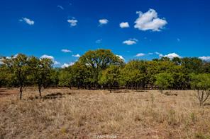 4660 County Road 463 - Photo 34
