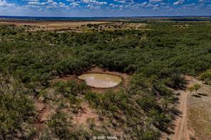 4660 County Road 463 - Photo 35