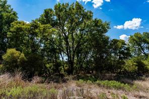 4660 County Road 463 - Photo 5