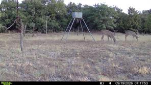 35 AC CR 383 - Photo 11