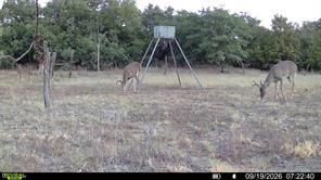 35 AC CR 383 - Photo 16