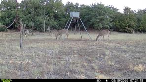 35 AC CR 383 - Photo 21