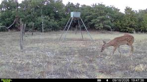 35 AC CR 383 - Photo 26