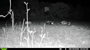 35 AC CR 383 - Photo 3