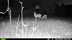 35 AC CR 383 - Photo 7
